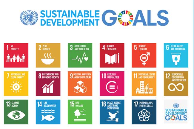 The SDGs, corporate strategy and corporate reporting