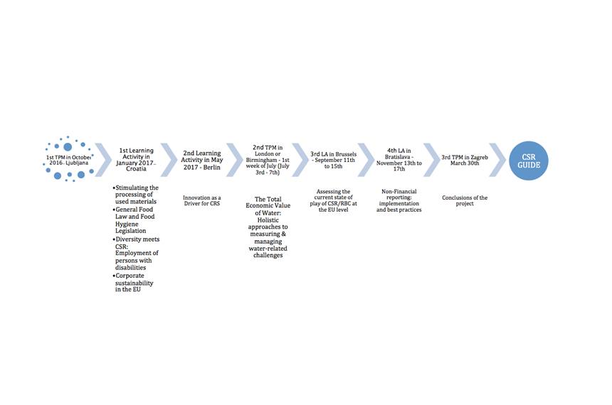 Project Timeline