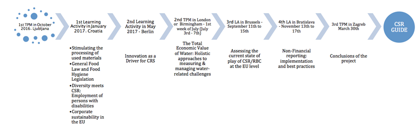 Project Timeline